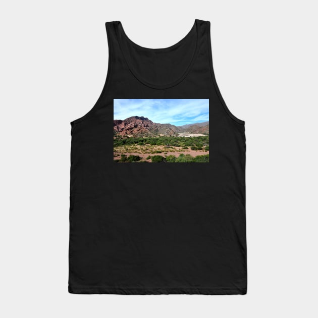 Argentine - Quebrada de las Conchas Tank Top by franck380